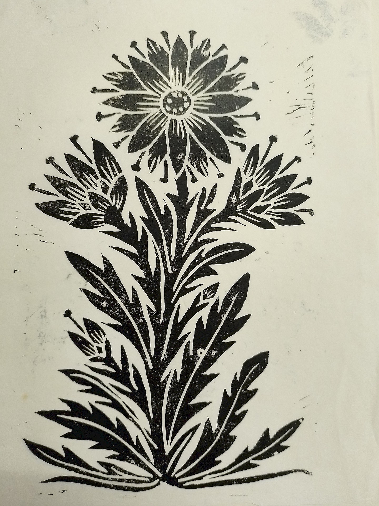 Flower in linoleum print from the archive stock