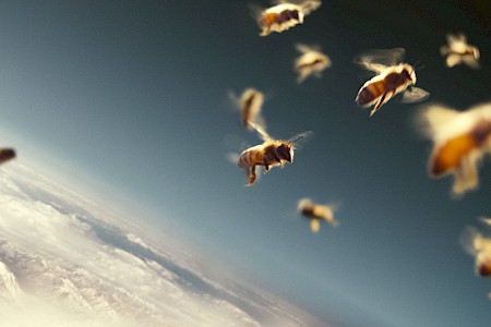 Fliegende Bienen