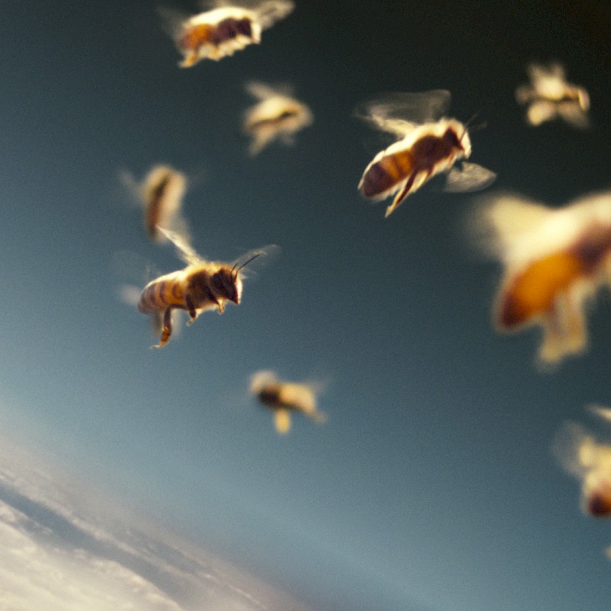 Fliegende Bienen
