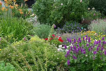 Blühender Garten von Annette Tessaro