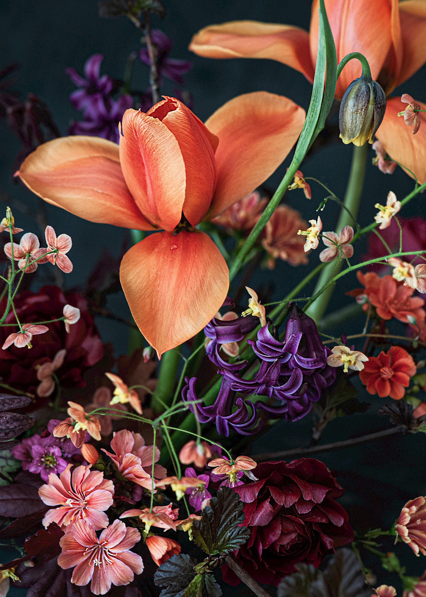 Florale Stillleben - Orange-violet-arragement