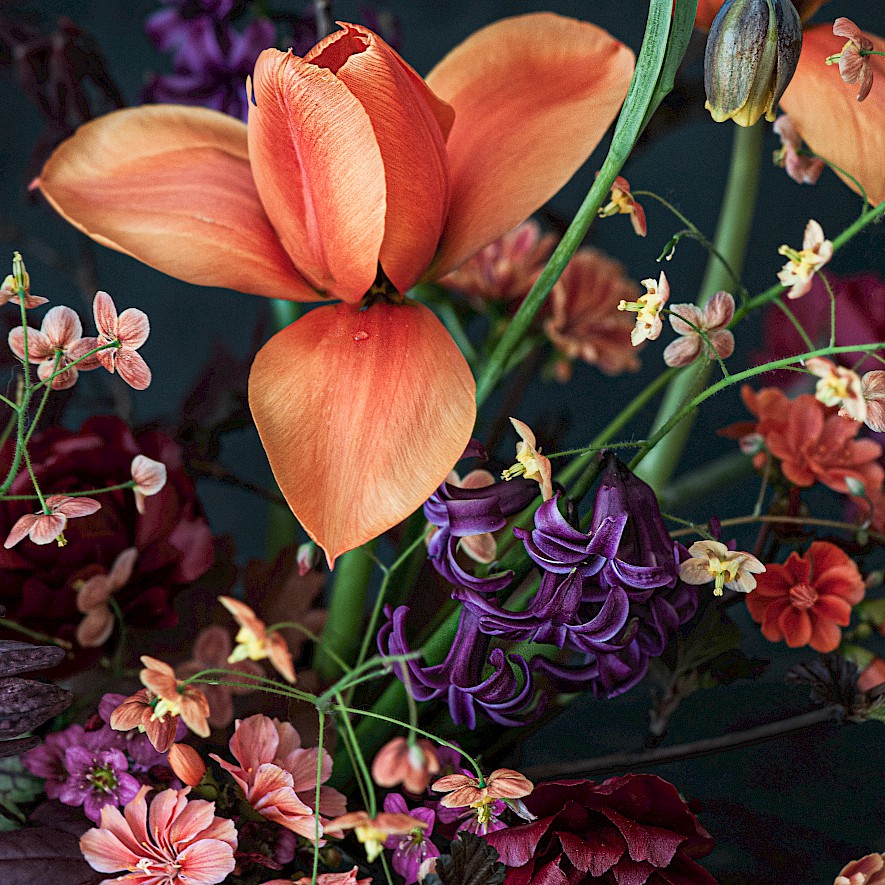 Floral Still Life - Orange-violet-arragement