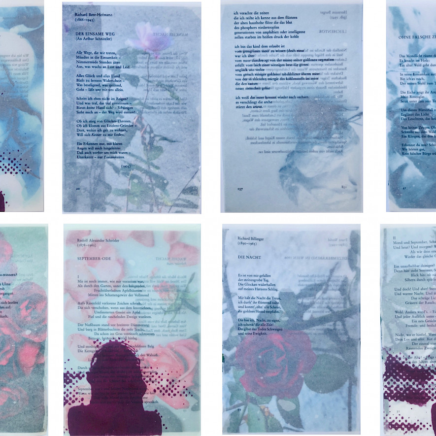 Me & the world – Roses. Foto, Druck & Wachs, 45 x 160 cm, 2023, Edith Steiner