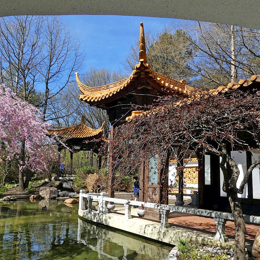 China Garden in the Munich Westpark