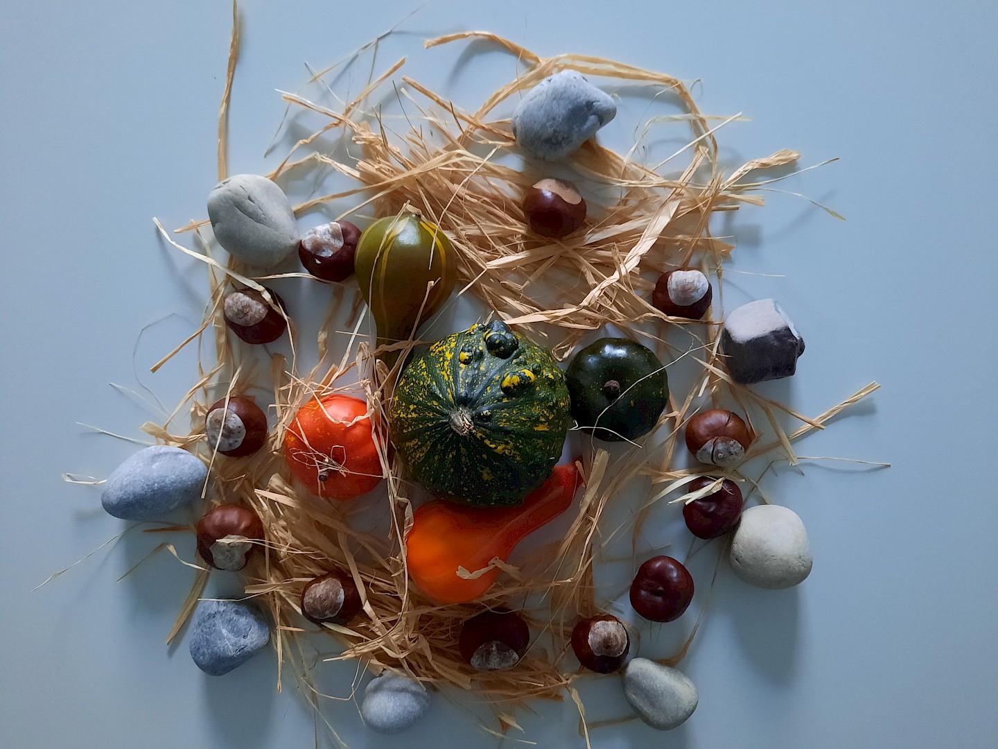 Mandala aus Raffia, Steinen und Zierkürbissen.
Rosine Lambin, 2022