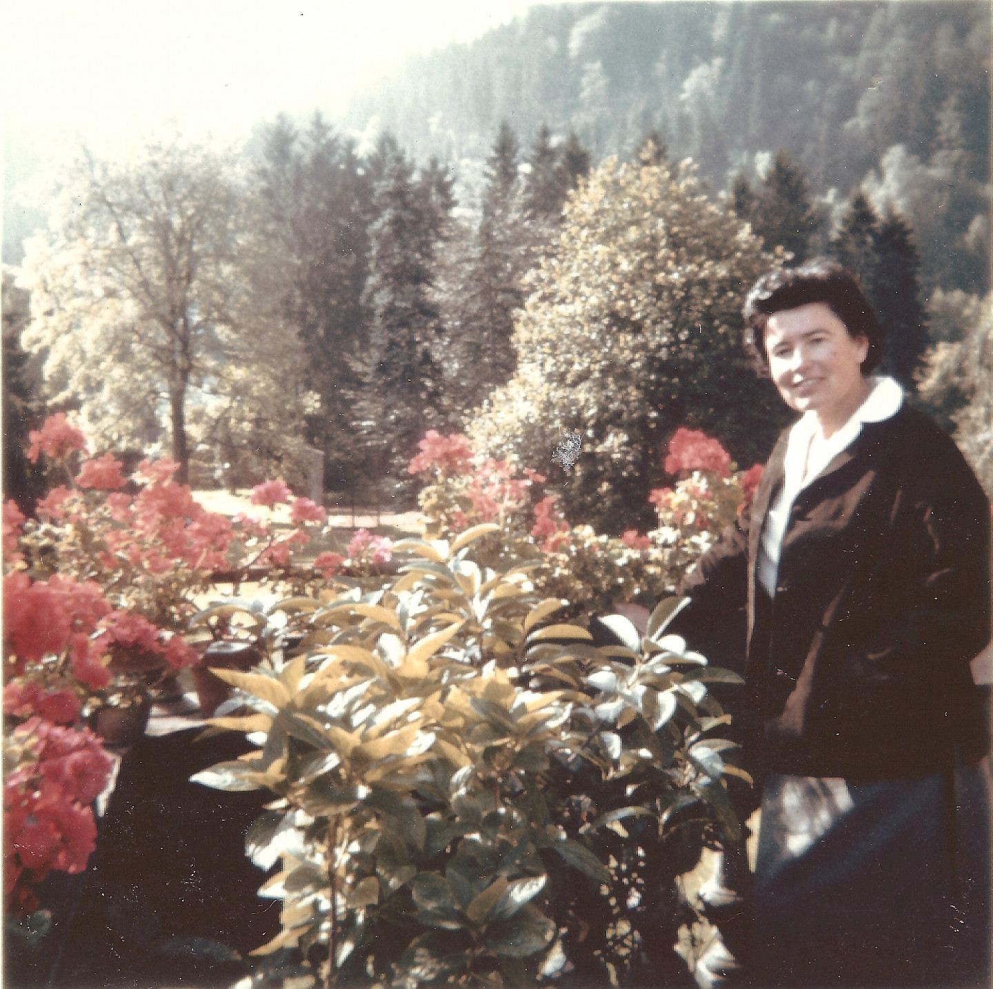 Magda Bittner-Simmet – ein Ausflug ins Grüne, Originalfoto aus dem Bildarchiv der Stiftung