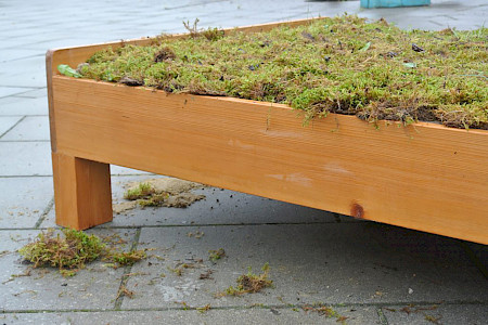 A bed made of a wooden frame, the mattress is made of fresh green moss