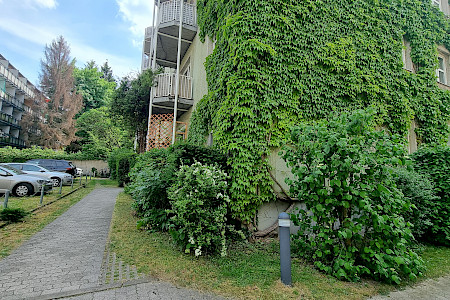 Courtyard with facade greenery in Sendling-Westpark