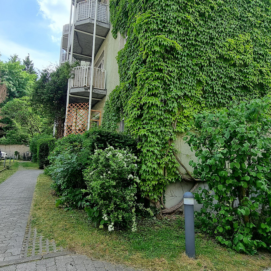 Courtyard with facade greenery in Sendling-Westpark
