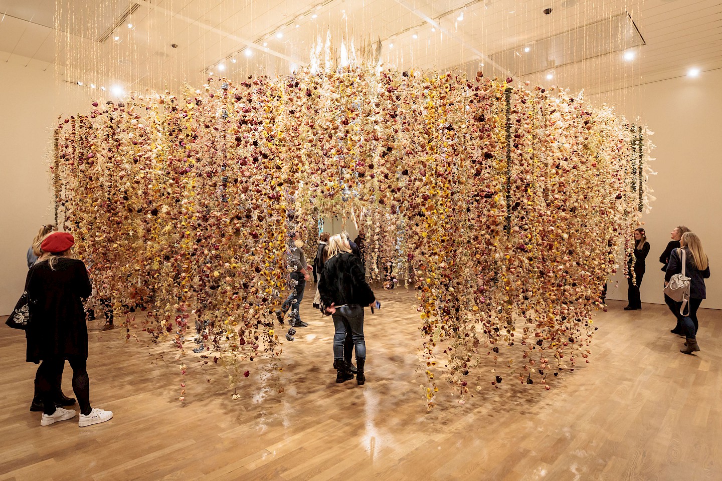 An art installation of thousands of dried flowers by Rebecca Louise Law.
