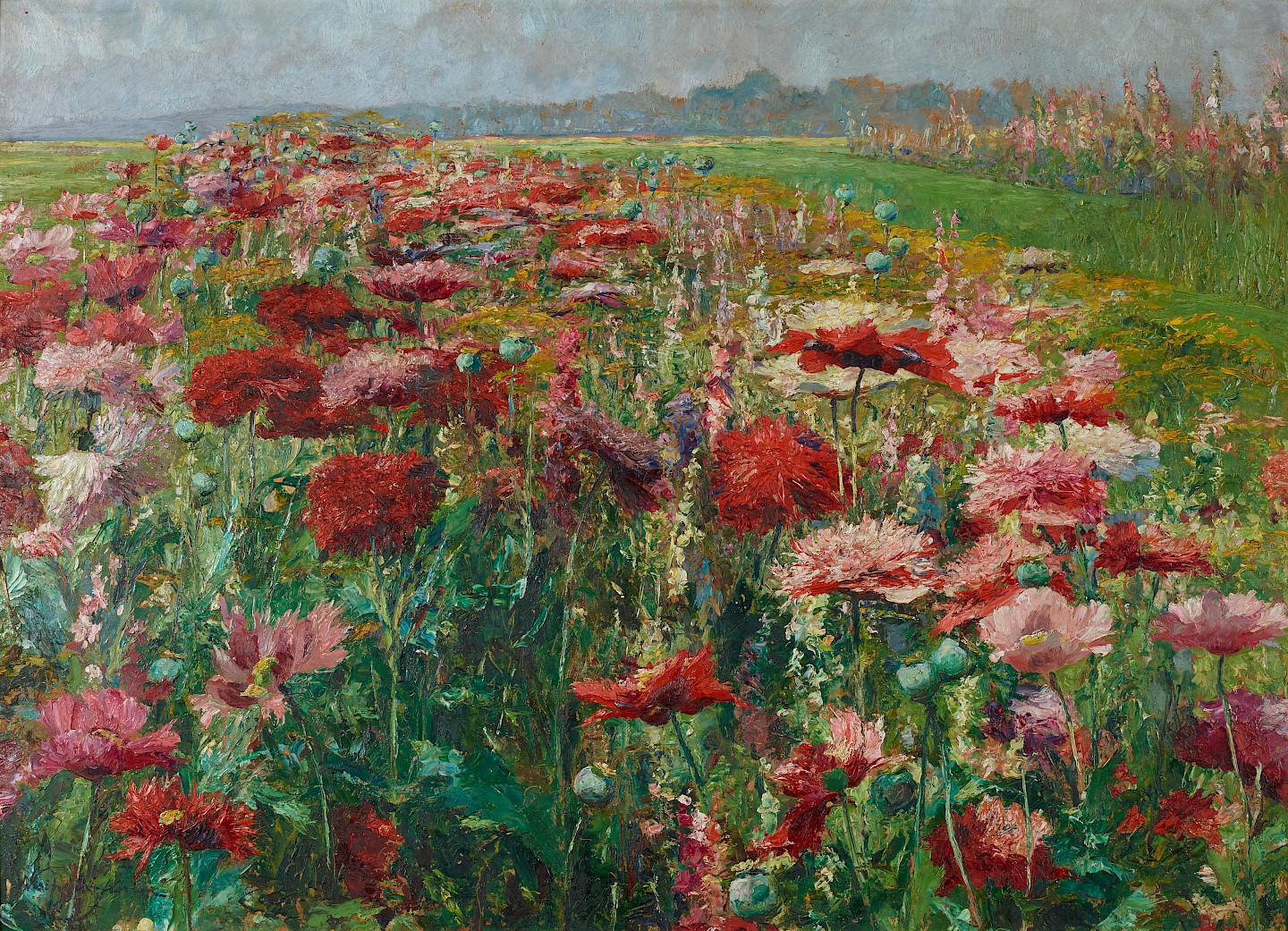 The painting "Blooming Poppyies" by Olga Wisinger-Florian from the Belvedere in Vienna