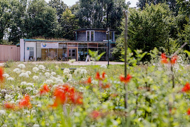 Programm Flower Botanisches Zeichnen und Malen | Programm | Flower Power Festival ...