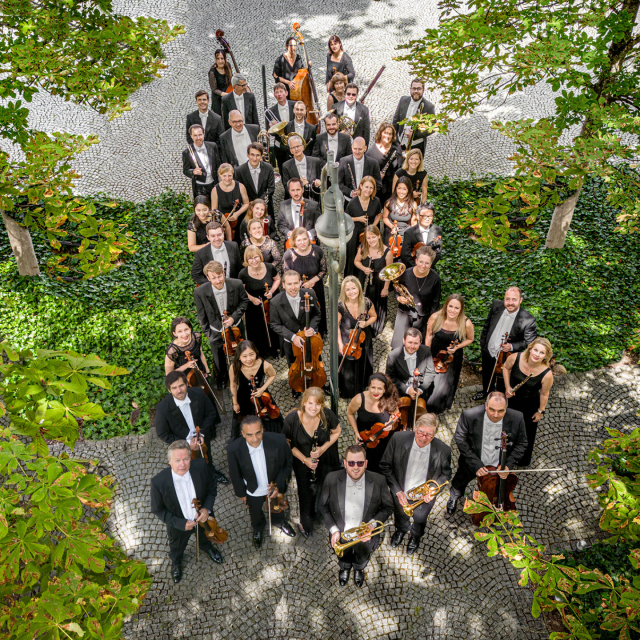 Programm Flower HORIZONTE | Programm | Flower Power Festival München 2023
