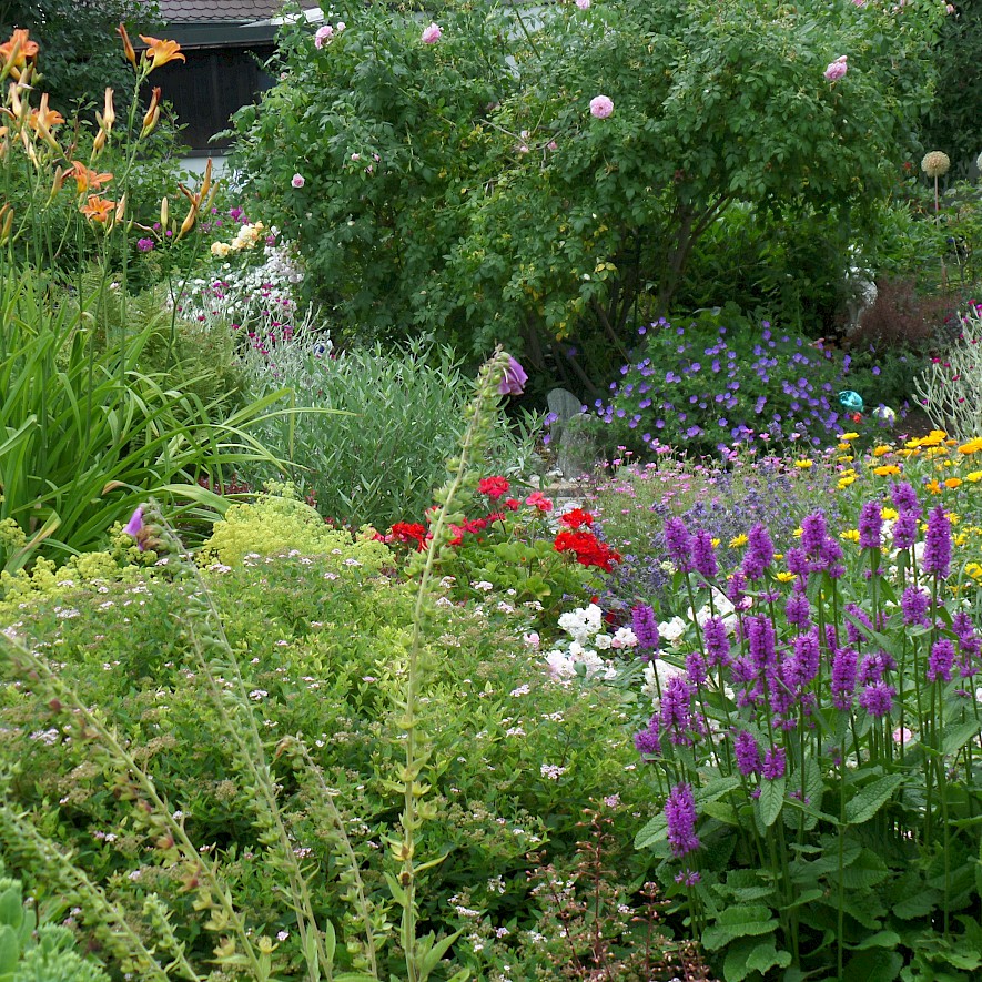 Blühender Garten von Annette Tessaro