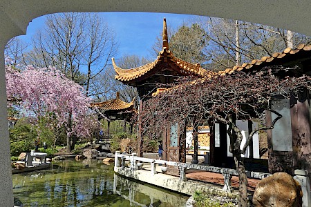China-Garten im Münchner Westpark