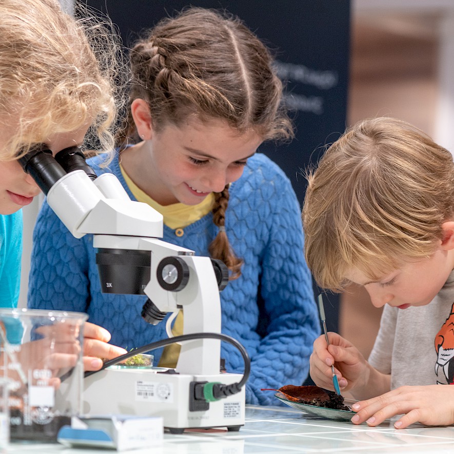 Kinder mikroskopieren und experimentieren im BIOTOPIA Lab