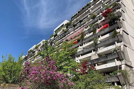 The former housing complexes for the male athletes now offer Munich locals plenty of space for individual balcony planting.