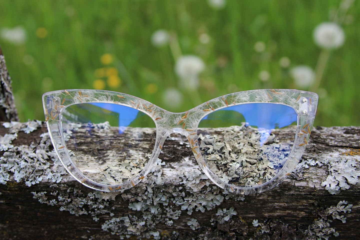 Eine Brille mit einlaminierten Pusteblumen